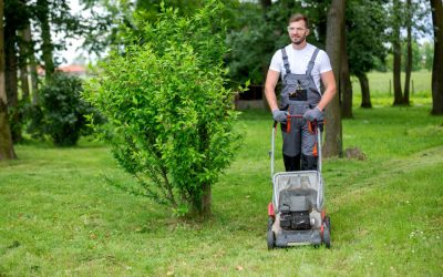 Service à domicile jardinage à Couëron : le guide complet pour un jardin entretenu toute l’année