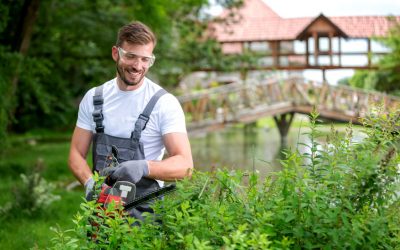 Jardinier à Saint-Herblain : entretien de jardin, tarifs et crédit d’impôt 50 %