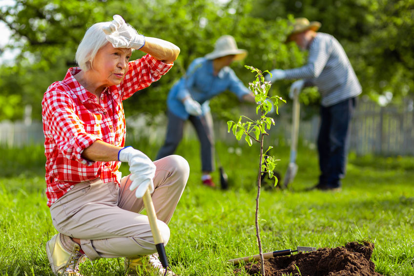 jardinage espaces verts