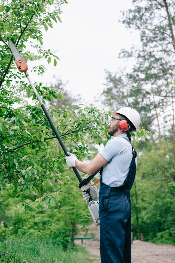 jardinier entretien espaces verts