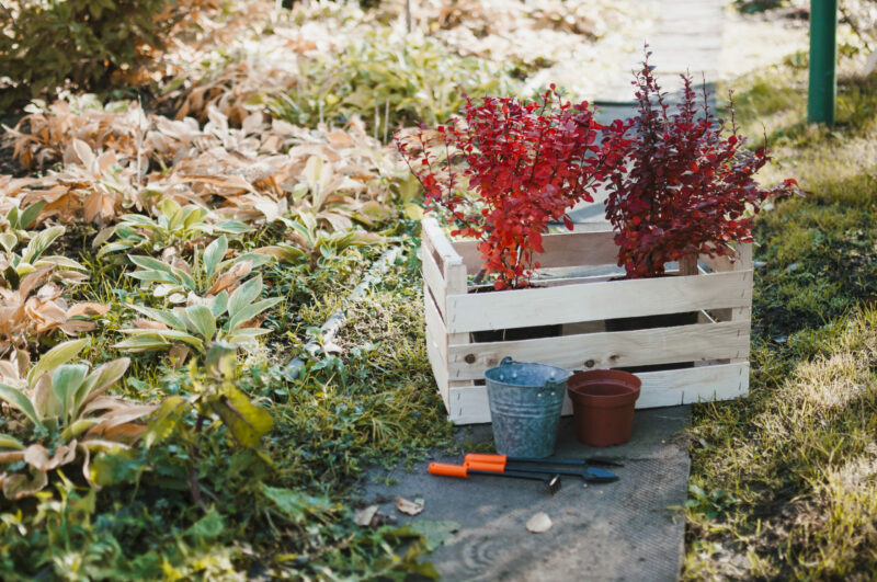 jardinage rentree septembre