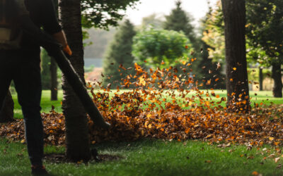Entretien de jardin en octobre : les 7 gestes essentiels à faire avant l’hiver à Couëron et alentours