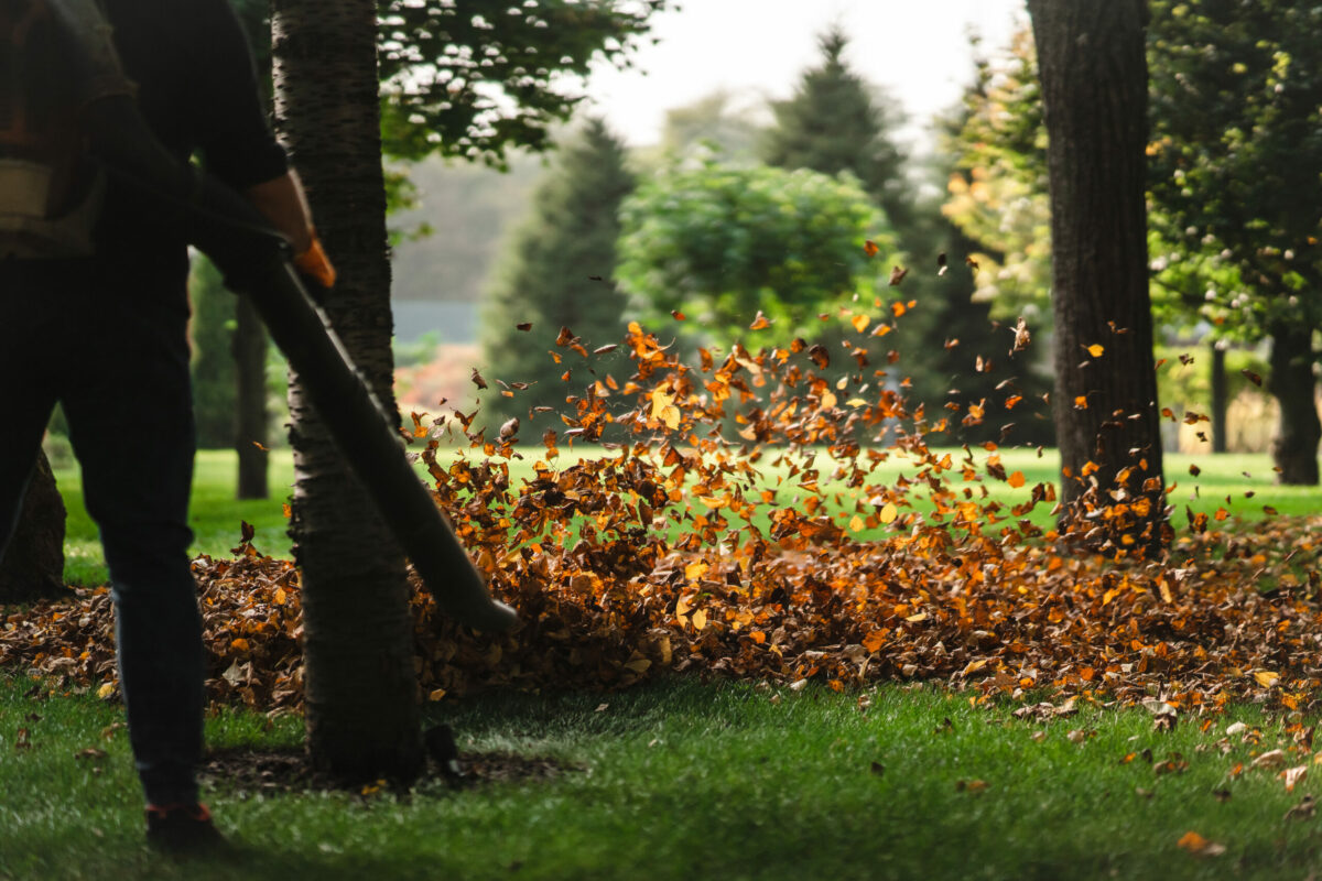 entretien jardin octobre