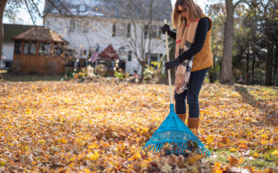 Entretien du jardin en novembre : que faire avant l’hiver à Couëron et alentours ?