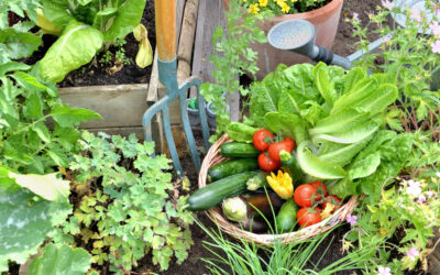 Potager à Couëron et en région nantaise : calendrier de plantation et d’arrosage adapté au climat atlantique