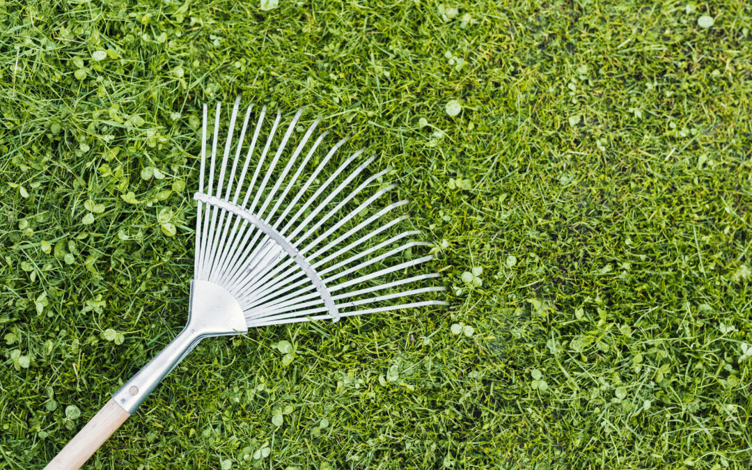 Scarification de pelouse à Couëron et en Loire-Atlantique : le guide complet pour un gazon sans mousse