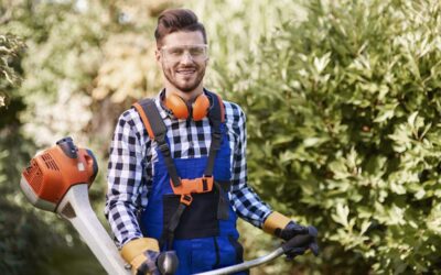Jardinier à Orvault : entretien de jardin par une entreprise locale agréée