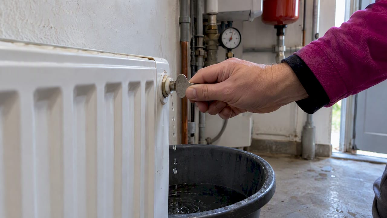 Eau récupérée lors de la purge du radiateur