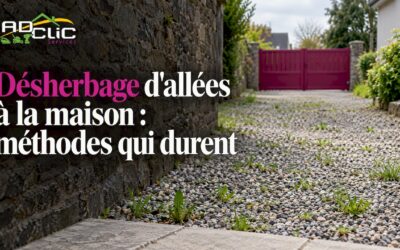 Désherbage d’allées à la maison : méthodes qui durent
